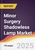 Minor Surgery Shadowless Lamp Market Report: Trends, Forecast and Competitive Analysis to 2031- Product Image