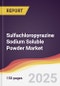 Sulfachloropyrazine Sodium Soluble Powder Market Report: Trends, Forecast and Competitive Analysis to 2031 - Product Thumbnail Image