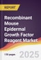 Recombinant Mouse Epidermal Growth Factor Reagent Market Report: Trends, Forecast and Competitive Analysis to 2031 - Product Thumbnail Image