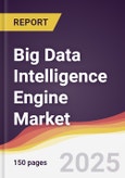 Big Data Intelligence Engine Market Report: Trends, Forecast and Competitive Analysis to 2031- Product Image