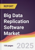 Big Data Replication Software Market Report: Trends, Forecast and Competitive Analysis to 2031- Product Image