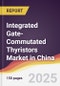 Integrated Gate-Commutated Thyristors (IGCT) Market in China - Product Thumbnail Image