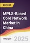 MPLS-Based Core Network Market in China - Product Thumbnail Image