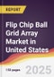 Flip Chip Ball Grid Array Market in United States - Product Thumbnail Image