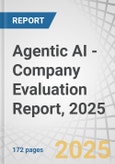 Agentic AI - Company Evaluation Report, 2025- Product Image