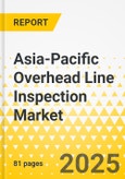 Asia-Pacific Overhead Line Inspection Market: Focus on Application, Product, and Country - Analysis and Forecast, 2025-2035- Product Image