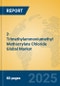 2-Trimethylammoniumethyl Methacrylate Chloride Global Market Insights 2025, Analysis and Forecast to 2030, by Manufacturers, Regions, Technology, Application - Product Thumbnail Image