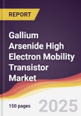 Technology Landscape, Trends and Opportunities in Gallium Arsenide High Electron Mobility Transistor Market- Product Image