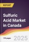 Sulfuric Acid Market in Canada - Product Thumbnail Image