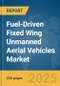 Fuel-Driven Fixed Wing Unmanned Aerial Vehicles Market Report 2025 - Product Thumbnail Image