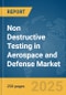 Non Destructive Testing (NDT) in Aerospace and Defense Market Report 2025 - Product Thumbnail Image