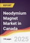 Neodymium Magnet Market in Canada - Product Thumbnail Image