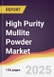 High Purity Mullite Powder Market Report: Trends, Forecast and Competitive Analysis to 2031 - Product Thumbnail Image