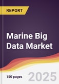 Marine Big Data Market Report: Trends, Forecast and Competitive Analysis to 2031- Product Image