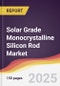 Solar Grade Monocrystalline Silicon Rod Market Report: Trends, Forecast and Competitive Analysis to 2031 - Product Thumbnail Image