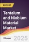 Tantalum and Niobium Material Market Report: Trends, Forecast and Competitive Analysis to 2031 - Product Thumbnail Image