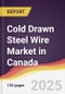 Cold Drawn Steel Wire Market in Canada - Product Thumbnail Image