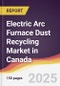 Electric Arc Furnace Dust Recycling Market in Canada - Product Thumbnail Image