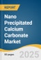 Nano Precipitated Calcium Carbonate Market Size, Share & Trends Analysis Report by Grade (Pharmaceutical Grade, Food Grade, Industrial Grade), by Application, by Region, and Segment Forecasts, 2025-2033 - Product Thumbnail Image
