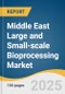 Middle East Large and Small-scale Bioprocessing Market Size, Share & Trends Analysis Report by Scale, by Workflow, by Product, by Application, by Use Type, by Mode, and Segment Forecasts, 2025-2033 - Product Thumbnail Image