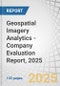Geospatial Imagery Analytics - Company Evaluation Report, 2025 - Product Thumbnail Image