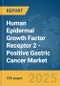 Human Epidermal Growth Factor Receptor 2 (HER2)-Positive Gastric Cancer Market Report 2025 - Product Thumbnail Image