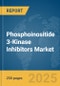 Phosphoinositide 3-Kinase (PI3K) Inhibitors Market Report 2025 - Product Thumbnail Image