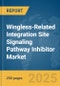 Wingless-Related Integration Site (WNT) Signaling Pathway Inhibitor Market Report 2025 - Product Thumbnail Image