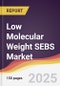 Low Molecular Weight SEBS Market Report: Trends, Forecast and Competitive Analysis to 2031 - Product Thumbnail Image