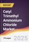 Cetyl Trimethyl Ammonium Chloride Market Report: Trends, Forecast and Competitive Analysis to 2031 - Product Image