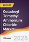 Octadecyl Trimethyl Ammonium Chloride Market Report: Trends, Forecast and Competitive Analysis to 2031 - Product Image