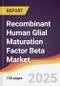 Recombinant Human Glial Maturation Factor Beta Market Report: Trends, Forecast and Competitive Analysis to 2031 - Product Thumbnail Image