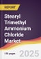 Stearyl Trimethyl Ammonium Chloride Market Report: Trends, Forecast and Competitive Analysis to 2031 - Product Image