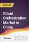 Cloud Orchestration Market in China - Product Thumbnail Image