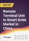 Remote Terminal Unit (RTU) in Smart Grids Market in China - Product Thumbnail Image