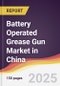 Battery Operated Grease Gun Market in China - Product Thumbnail Image