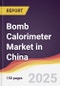 Bomb Calorimeter Market in China - Product Thumbnail Image