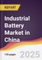 Industrial Battery Market in China - Product Thumbnail Image