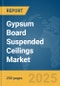 Gypsum Board Suspended Ceilings Market Report 2025 - Product Thumbnail Image