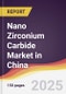 Nano Zirconium Carbide Market in China - Product Thumbnail Image