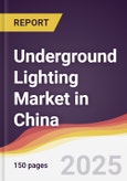 Underground Lighting Market in China- Product Image