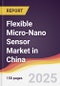 Flexible Micro-Nano Sensor Market in China - Product Thumbnail Image