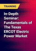In-Depth Seminar: Fundamentals of The Texas ERCOT Electric Power Market- Product Image