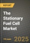 The Stationary Fuel Cell Market Size & Share, Trends & Forecast to 2034 - Growth Drivers, Challenges & Competitive Landscape - Product Image