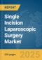 Single Incision Laparoscopic Surgery Market Report 2025 - Product Thumbnail Image