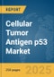 Cellular Tumor Antigen p53 Market Report 2025 - Product Thumbnail Image