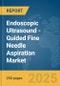 Endoscopic Ultrasound (EUS)-Guided Fine Needle Aspiration Market Report 2025 - Product Thumbnail Image