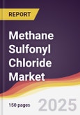 Methane Sulfonyl Chloride Market Report: Trends, Forecast and Competitive Analysis to 2031- Product Image