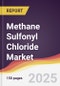Methane Sulfonyl Chloride Market Report: Trends, Forecast and Competitive Analysis to 2031 - Product Thumbnail Image