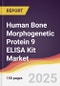Human Bone Morphogenetic Protein 9 ELISA Kit Market Report: Trends, Forecast and Competitive Analysis to 2031 - Product Thumbnail Image